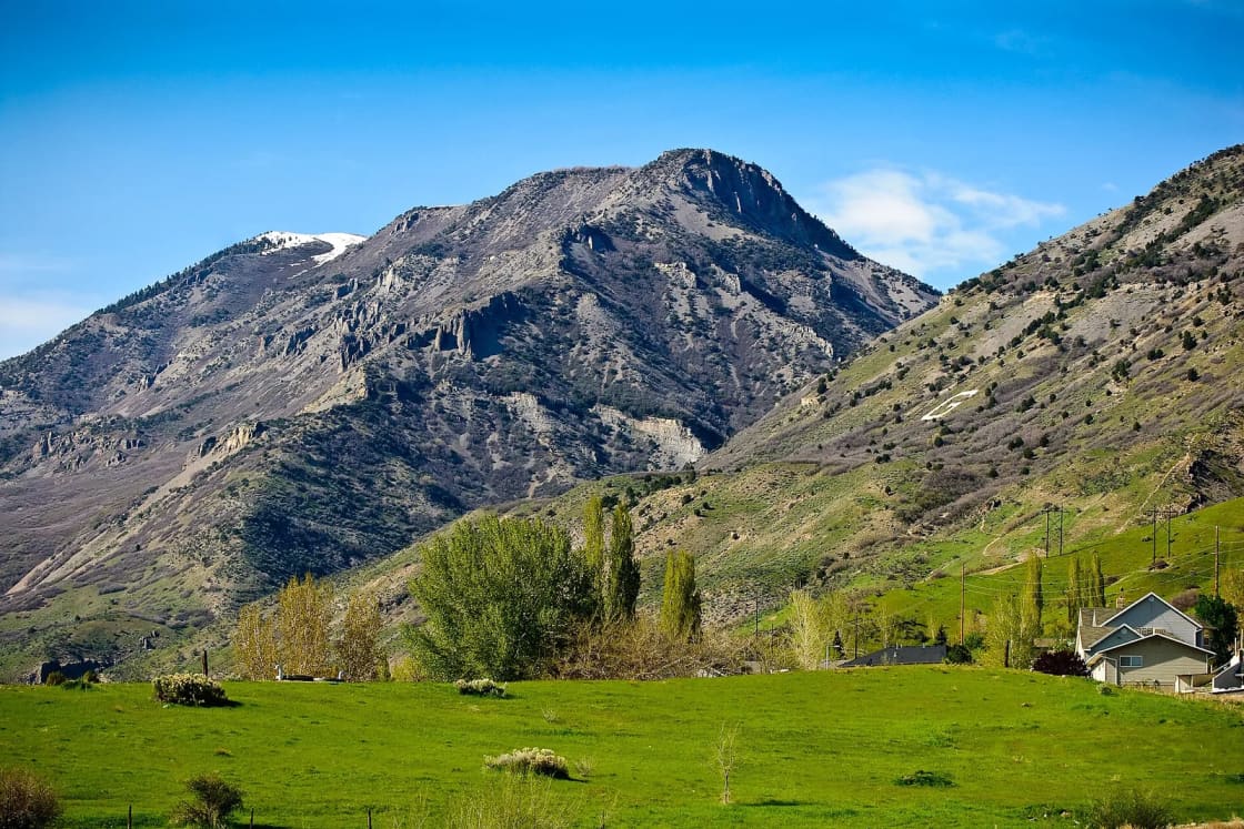 A green pasture, poplar trees and a few homes at the foot of the rugged Wasatch Mountains.