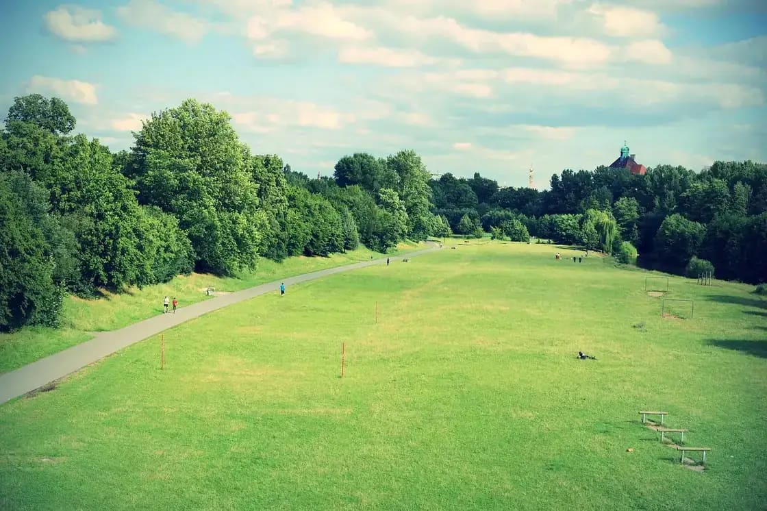 A wide mown lawn edged with mature trees in a public park