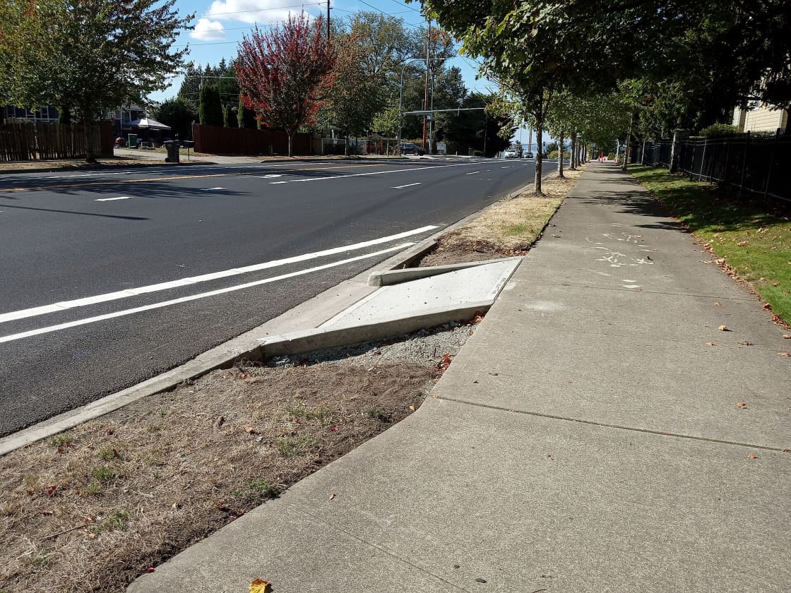 A marked bicycle lane running along the edge of a city street beside a concrete sidewalk and grass verge