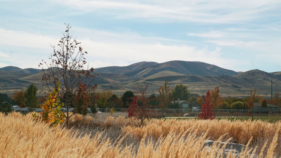 Golden grasses and young autumn trees at Wardle Fields Regional Park in Bluffdale, with a park fence, a few distant rooftops and rolling foothills under a pale sky