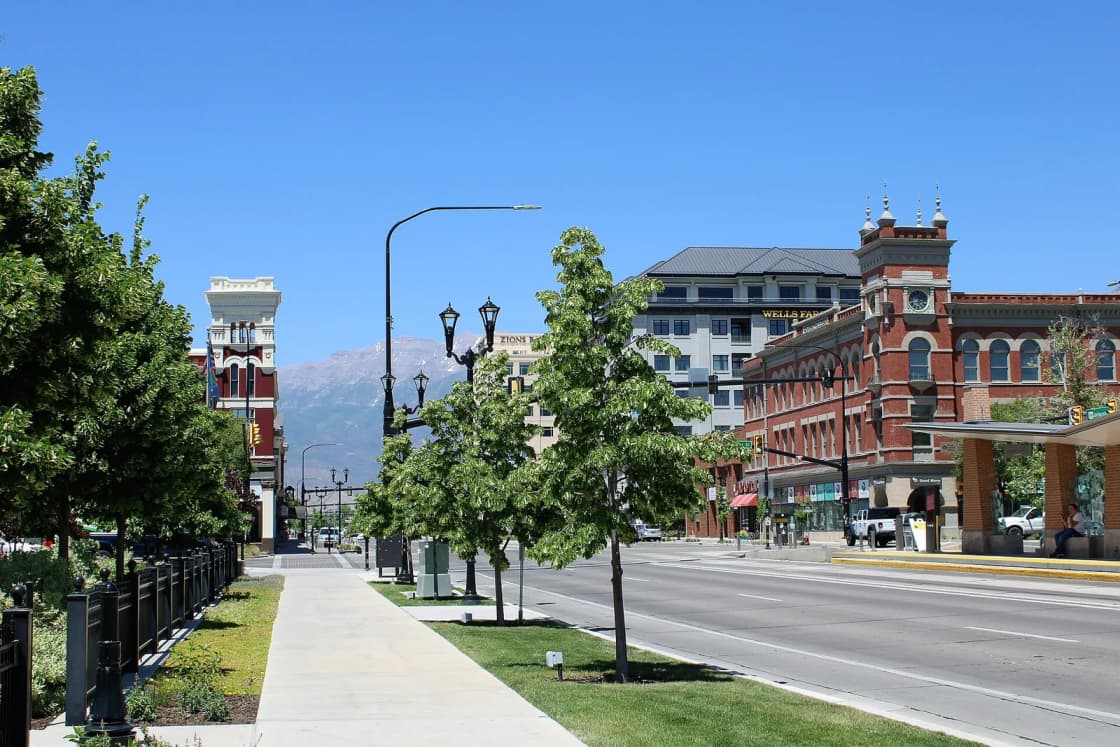 A tree-lined street in downtown Provo, Utah, with historic brick buildings and mountains in the distance.