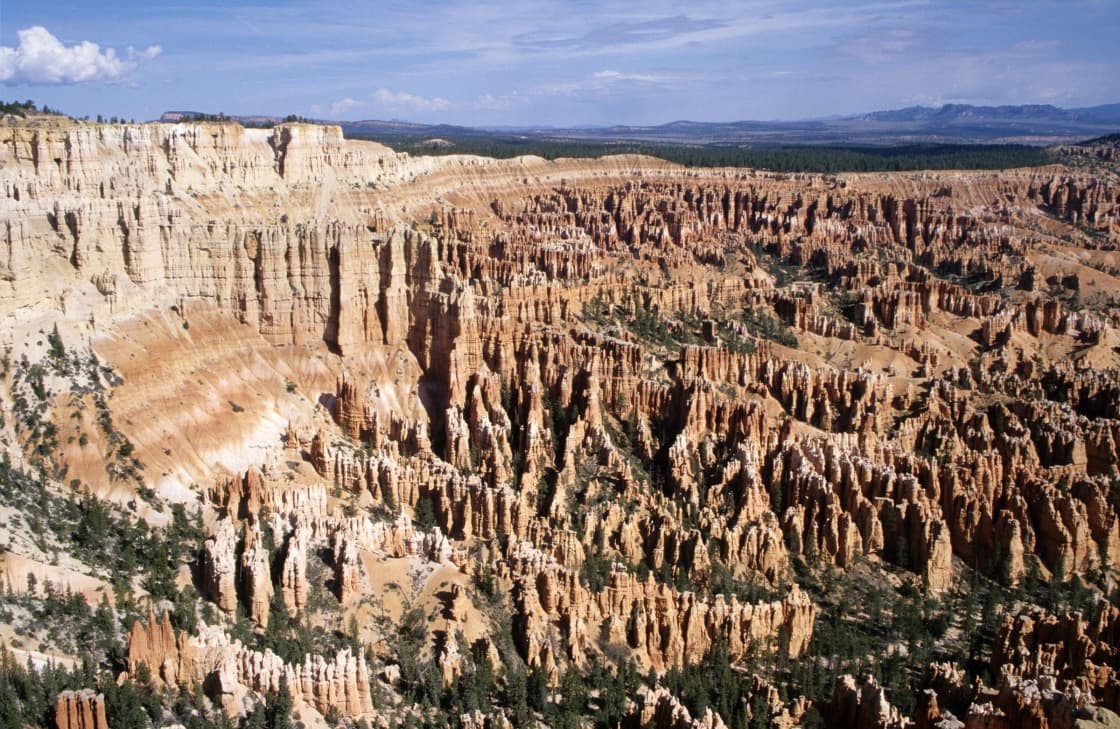 A wide amphitheater of pale orange rock spires below a forested rim