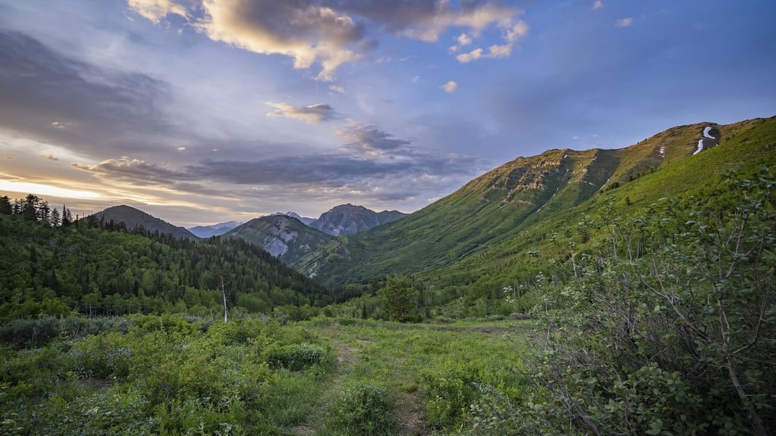 A faint path through a green summer meadow near the top of the old Squaw Peak Road, with forested slopes, a long grassy ridge streaked with late snow, and distant rocky peaks under a sunset sky