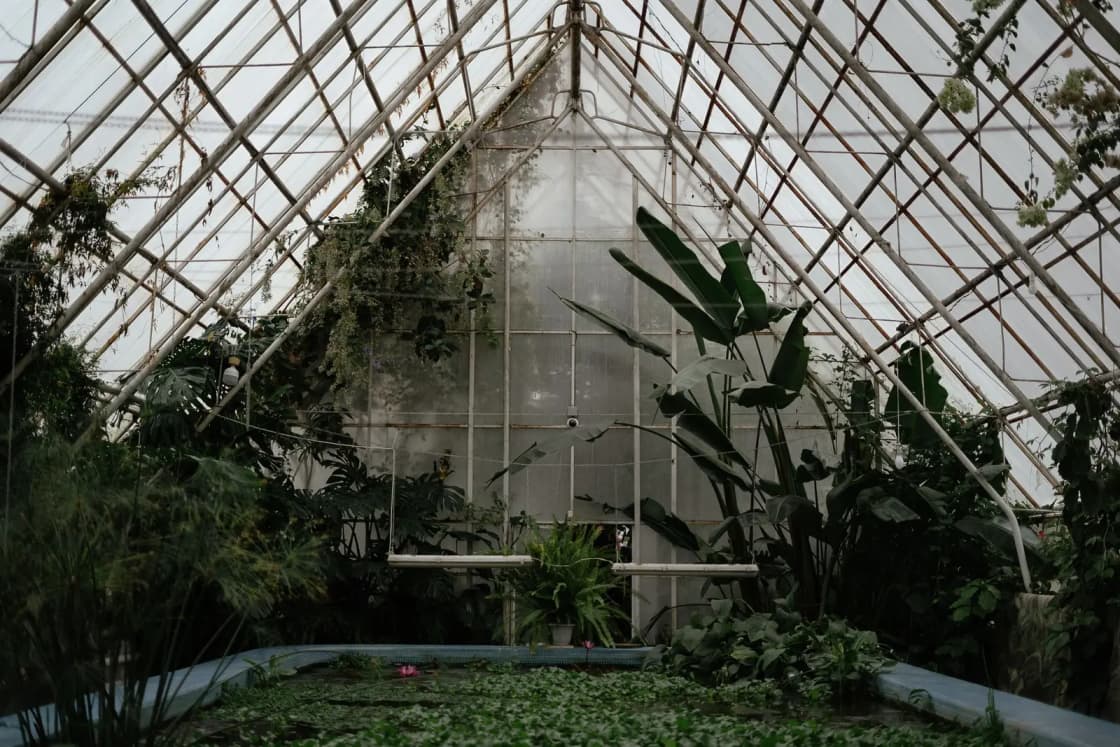 Interior view of a greenhouse filled with diverse plants and natural light