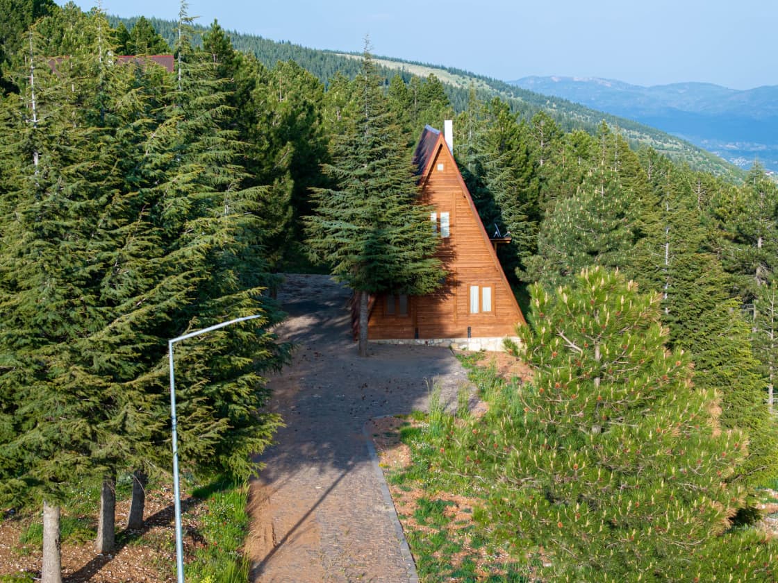 An A-frame timber cabin surrounded by dense conifers on a mountain slope