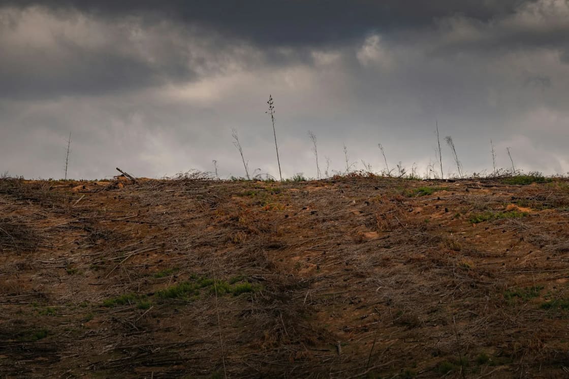 A bare field of dry brown grass rising to a low ridgeline under heavy gray storm clouds