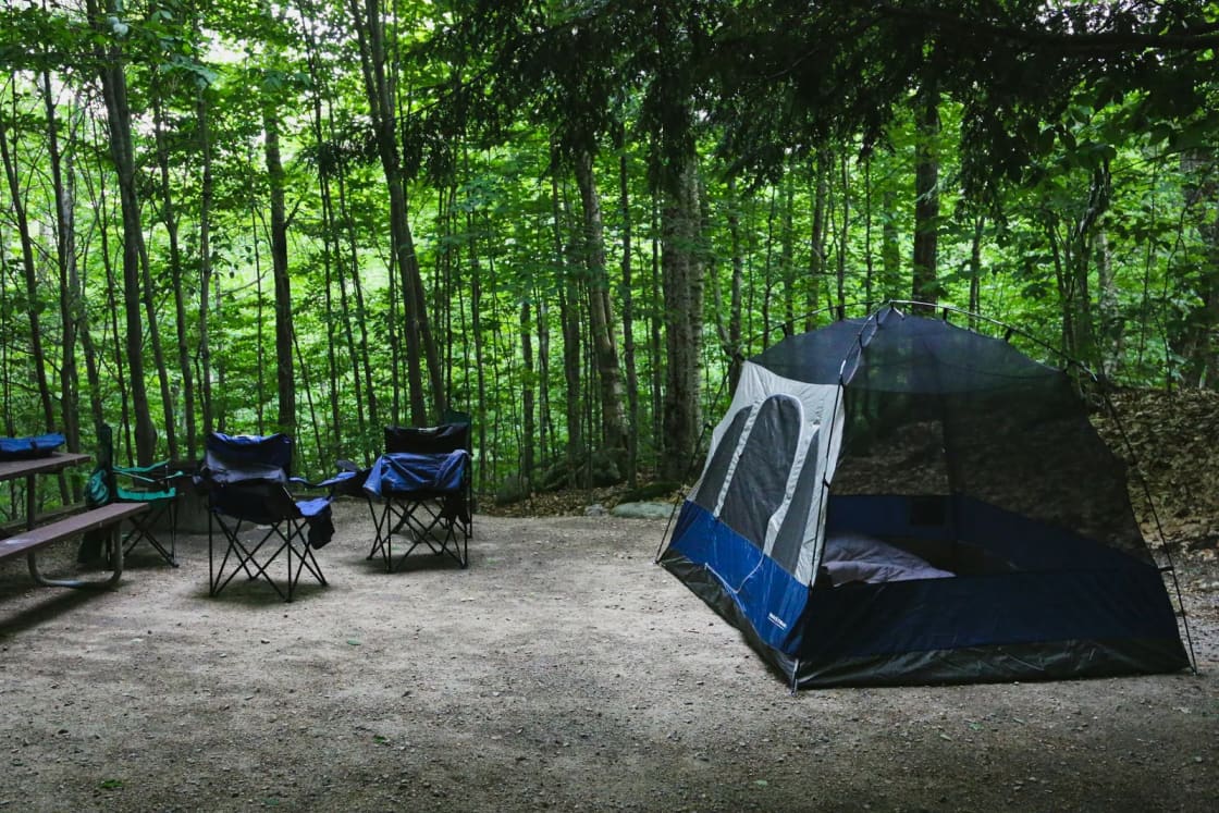 A blue dome tent, folding camp chairs and a picnic table at a dirt campsite under tall green trees