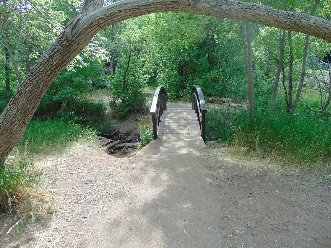 Footbridge over Provo Deer Creek on the Cascade Springs Trail in the Uinta-Wasatch-Cache National Forest, Utah