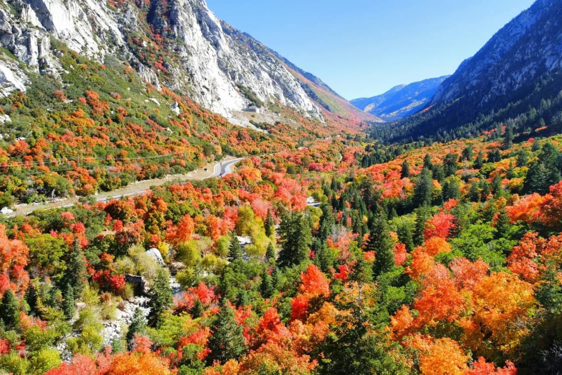 An aerial view up Little Cottonwood Canyon in fall, with red and orange maples filling the valley below gray granite walls and the canyon road.