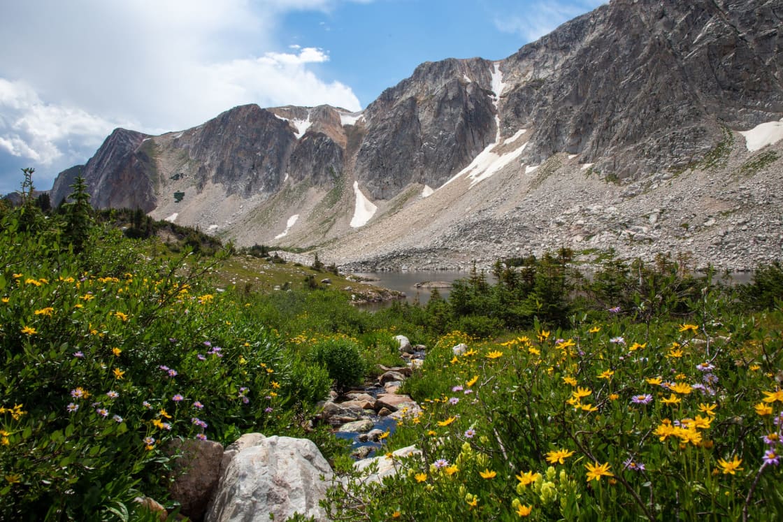 A green alpine basin with wildflowers below steep rocky peaks in summer