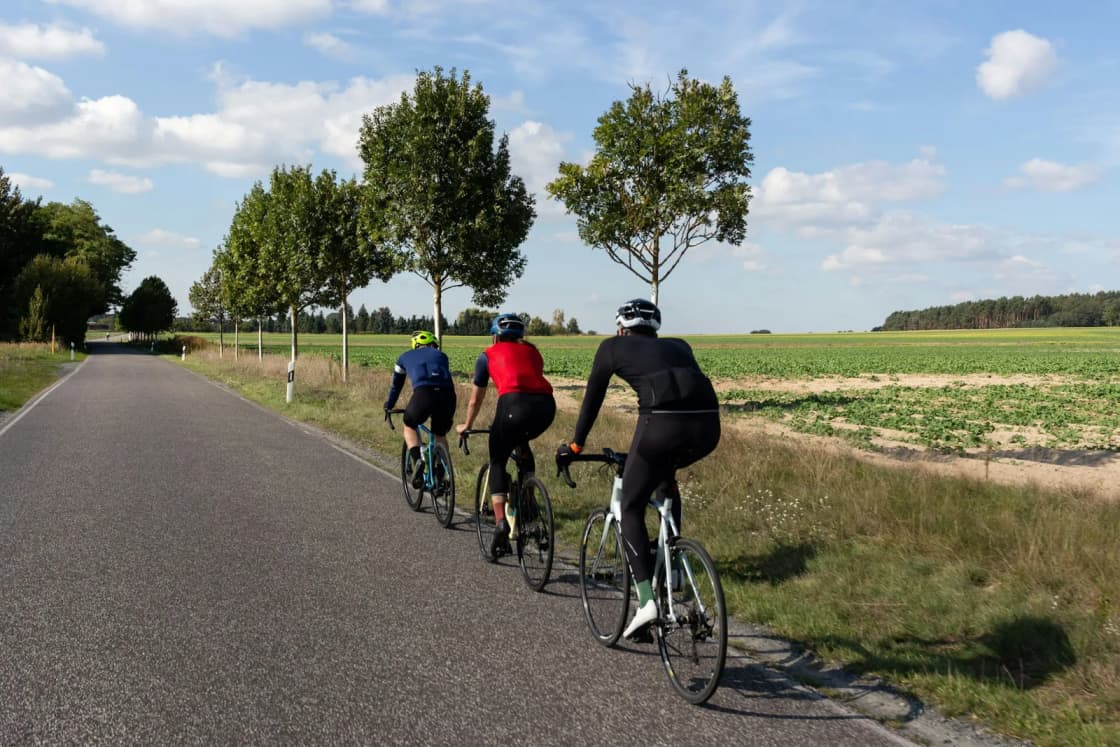 Three road cyclists seen from behind riding single file down a paved country lane past green fields and tall trees