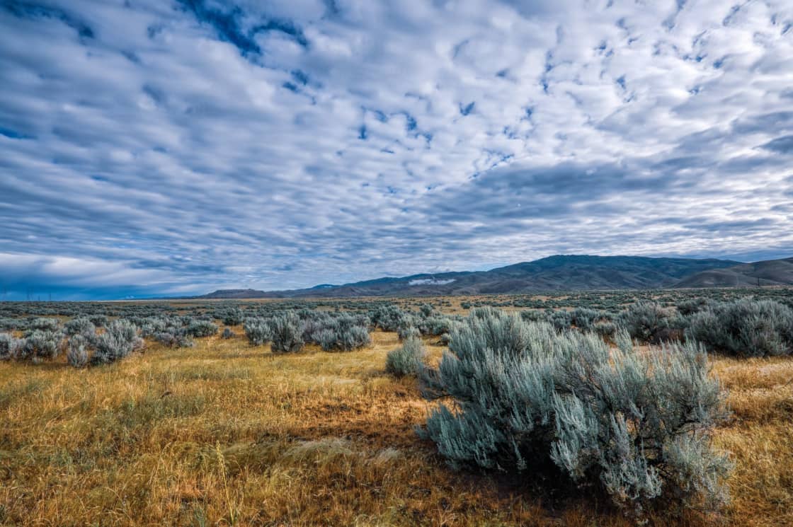 Sagebrush and dry grass across an open basin below a distant ridge