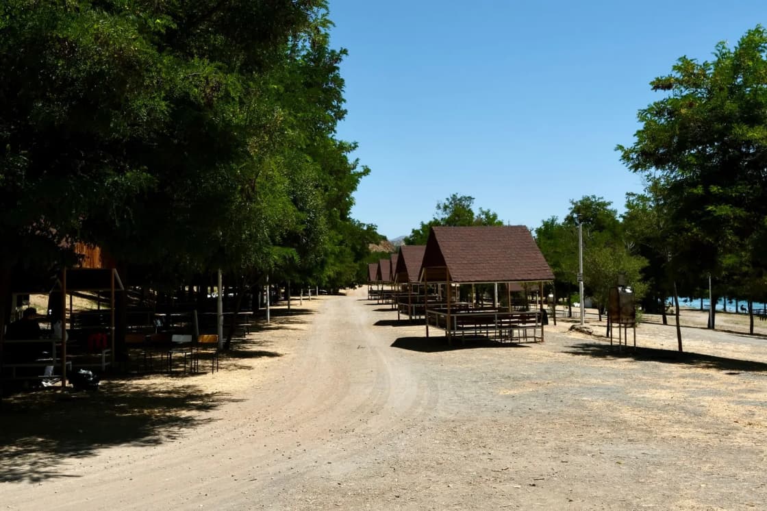A gravel lane running between open-sided picnic pavilions and mature trees in a park on a clear day