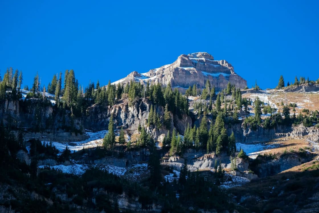 Fresh snow lies on the ledges of a pale limestone peak and its stands of evergreens under a hard blue winter sky.