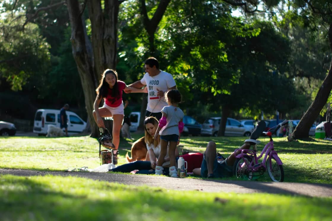 Families relaxing and playing on a shady park lawn on a summer evening, a kid's bike parked nearby