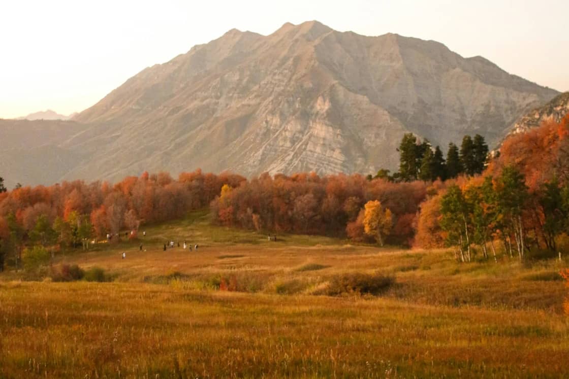 A golden meadow ringed by scrub oak just turning red and orange, with a gray mountain peak rising behind in early fall light.