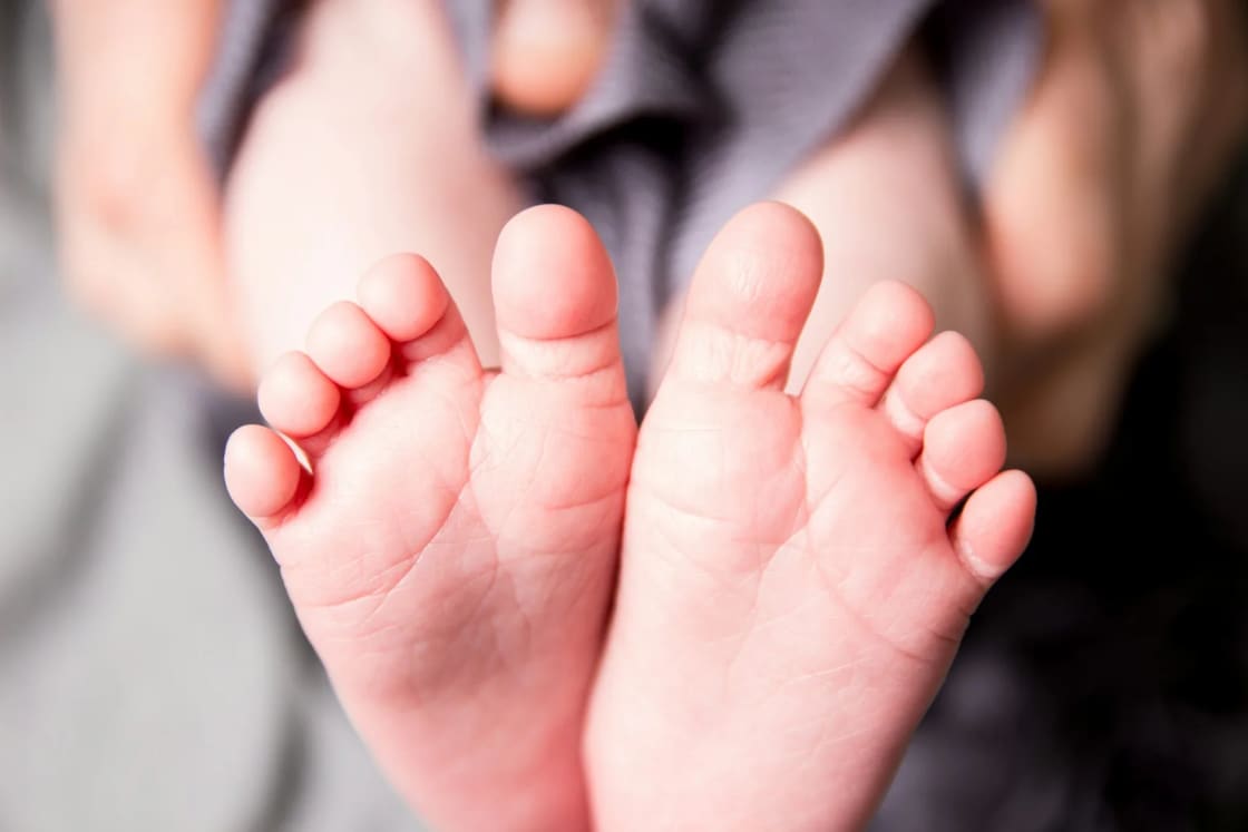 A newborn's bare feet held together in an adult's hand against a soft gray blanket, the small scale of the first weeks at home.