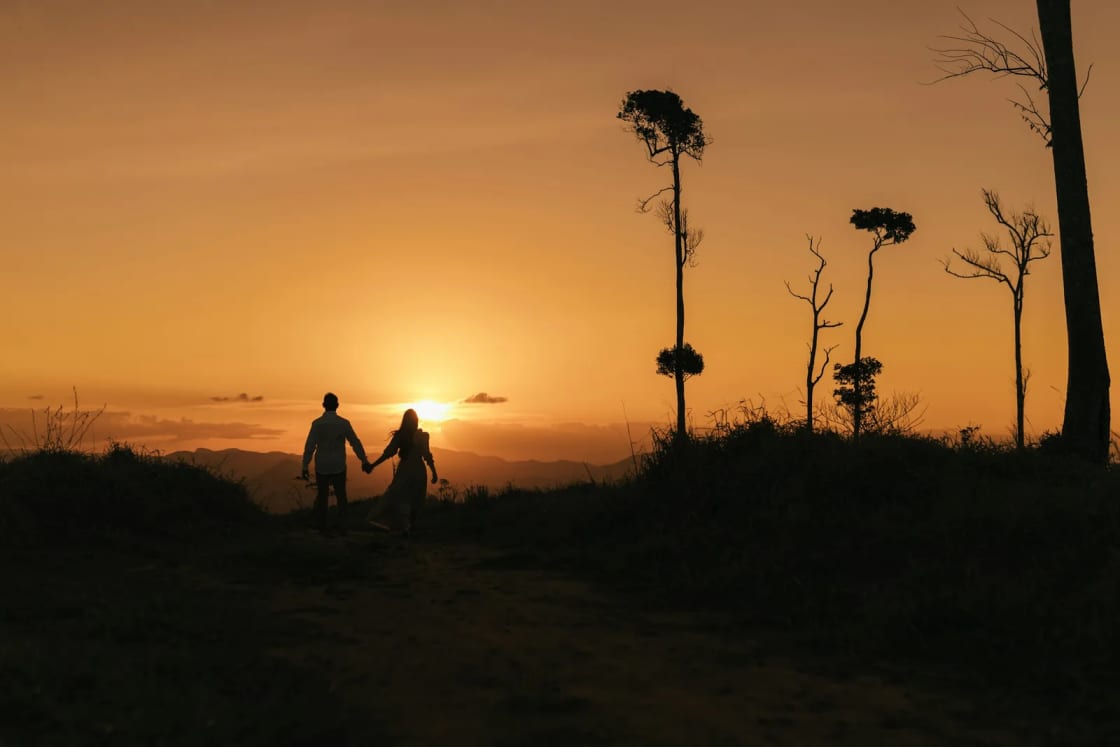 A couple holding hands silhouetted on a hilltop at sunset, the sky glowing orange behind a few tall trees