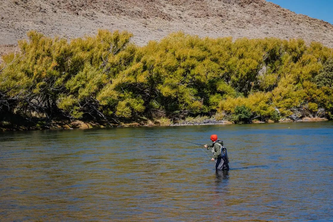 An angler in chest waders casting a fly rod midstream, with willows and a dry hillside on the far bank