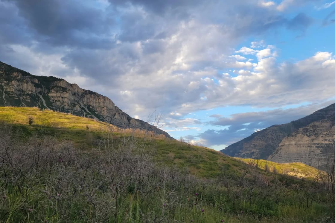 A grassy foothill meadow at the mouth of Provo Canyon in evening light, the canyon's limestone walls rising on both sides