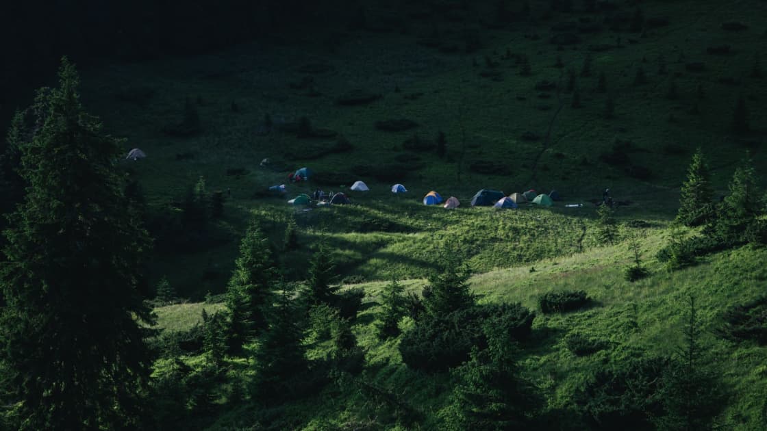 Small tents scattered across a green mountain meadow among pine trees in the late-day light