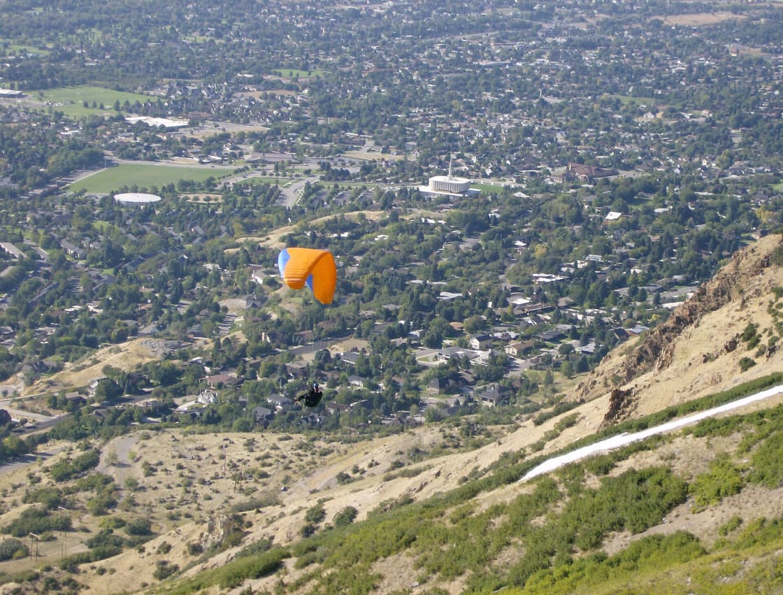 A paraglider under an orange canopy above tree-lined residential streets on the rising bench in Provo, Utah, with a dry mountainside in the foreground and a white spired temple among the houses