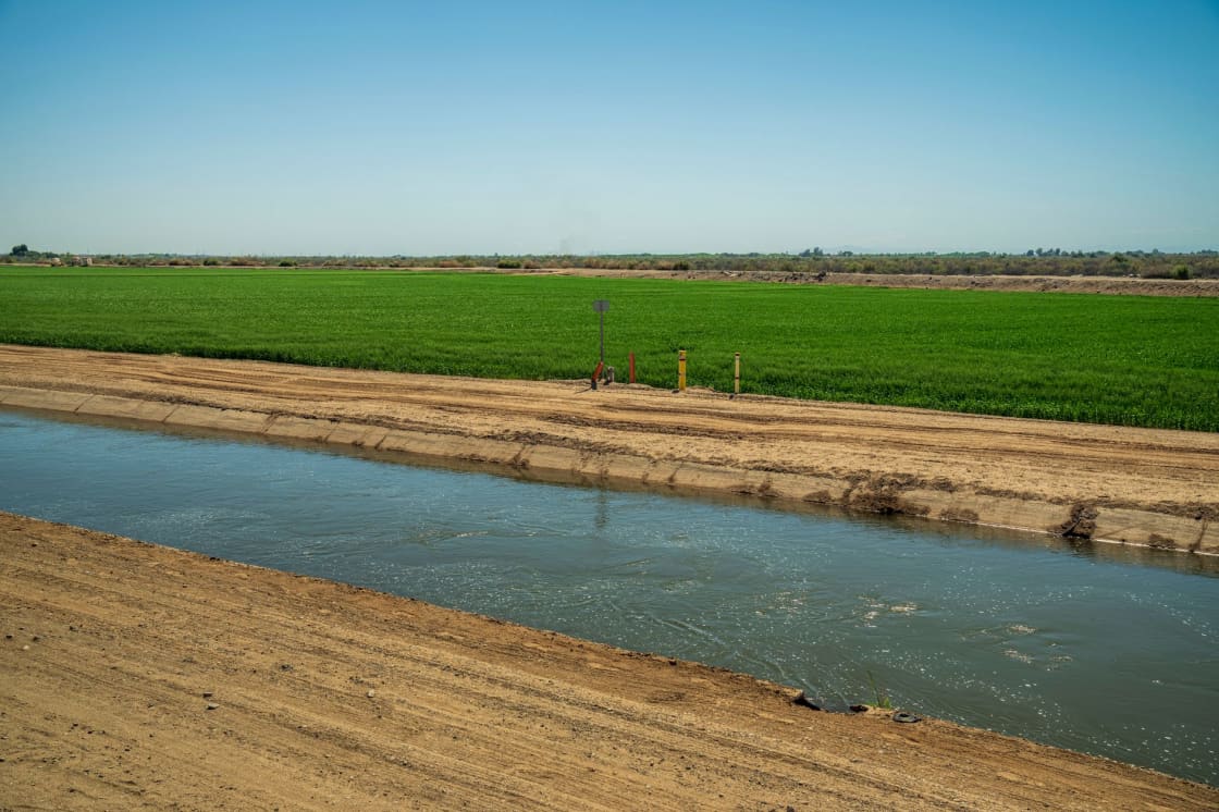 A wide irrigation canal carrying gray-green water between bare earthen banks, with a maintenance track alongside and a green crop field beyond