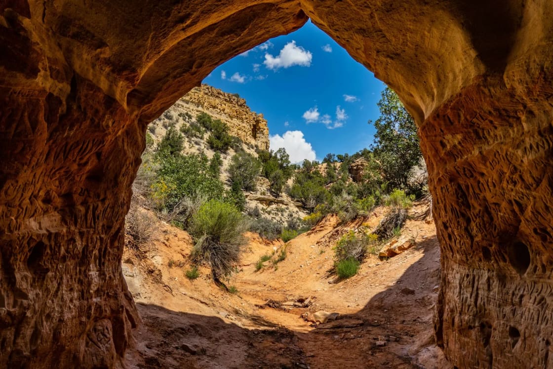 Looking out from the sandstone tunnel called Belly of the Dragon near Kanab toward a sunny wash, juniper and a blue sky with clouds.