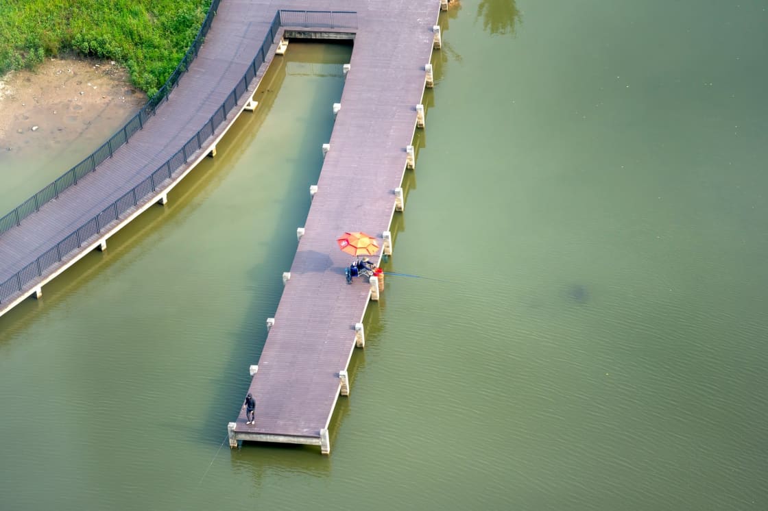 An aerial view of a long wooden dock extending over a small green pond