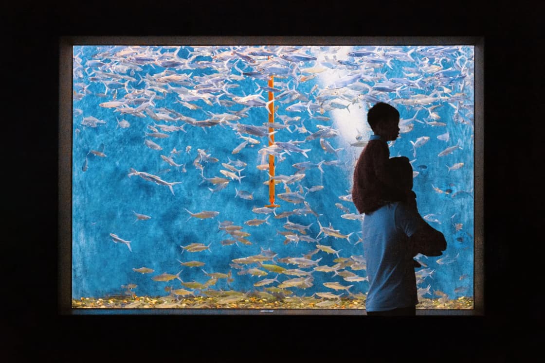 An adult holding a child stands in silhouette before a glowing aquarium window filled with a school of small silver fish