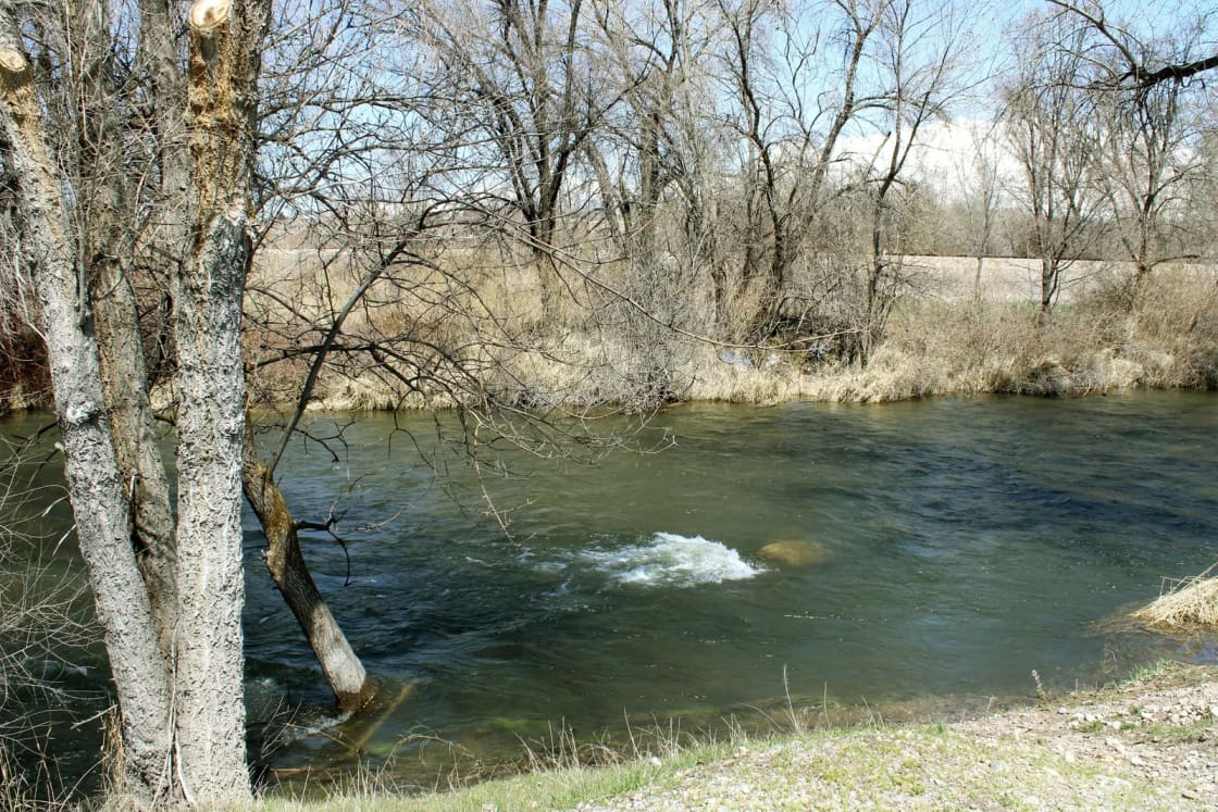 The Provo River running clear and quick past bare cottonwoods and dry grass on its lower stretch through Provo in early spring