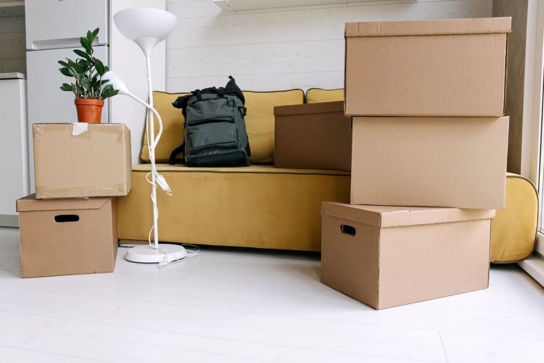 Stacked moving boxes, a plant and a lamp in front of a yellow couch in a bright apartment living room.