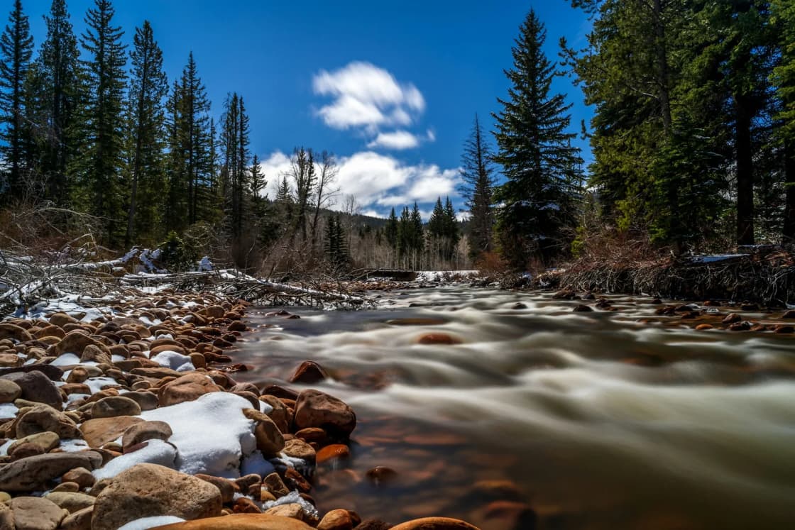 The Provo River rushing over rounded cobbles near Midway, with patches of late snow on the rocks and tall spruce lining both banks.