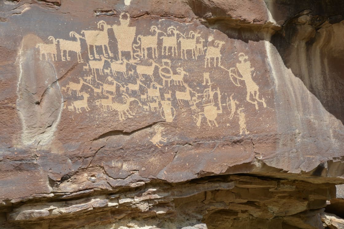 A herd of pecked bighorn sheep petroglyphs, with a tall horned figure among them and bow-carrying hunters at the right, spread across a dark, desert-varnished sandstone face in Nine Mile Canyon