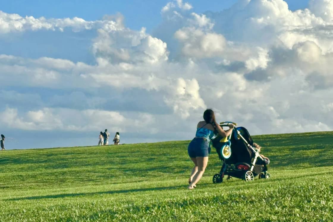 A mother leans into pushing a stroller up a steep grassy hill under a big sky of white clouds, other walkers along the crest.