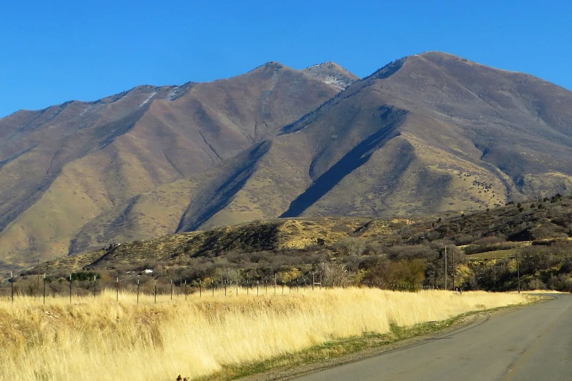Golden grass along a rural road below brown mountain slopes near Spanish Fork Canyon in Utah County.