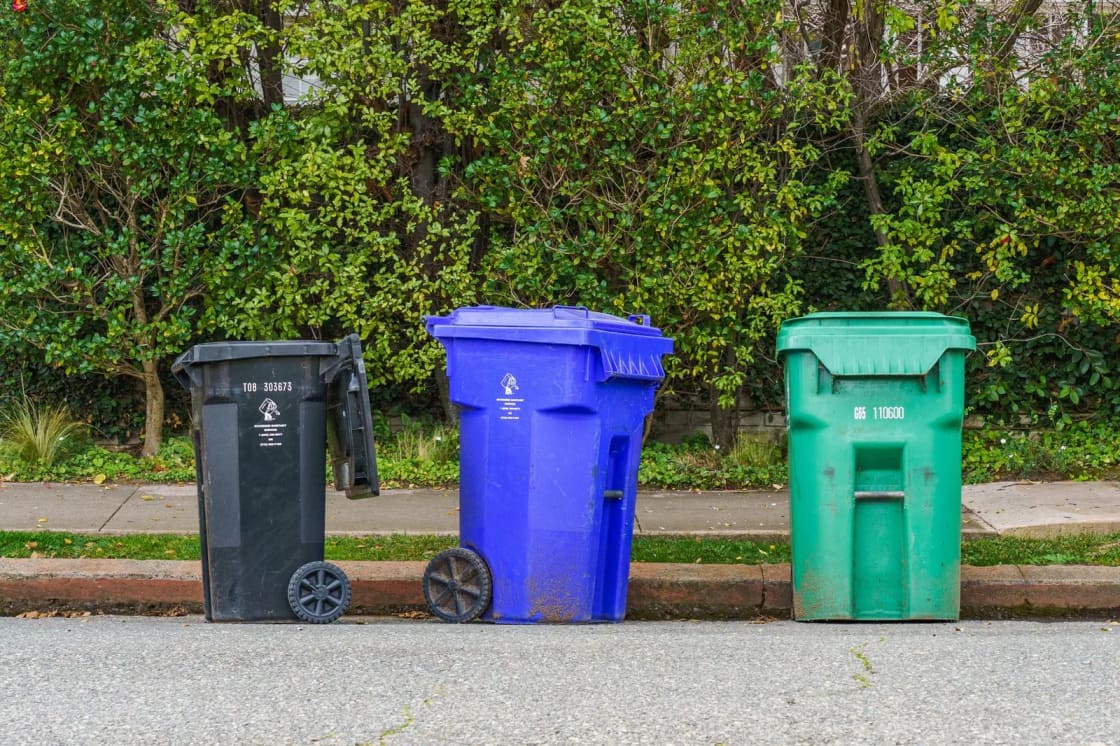 Wheeled residential recycling and garbage bins standing at a curb