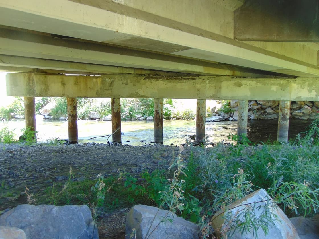 A shallow river running beneath a concrete road bridge on square pilings, with a gravel bank, boulders and dense green streamside growth in the foreground