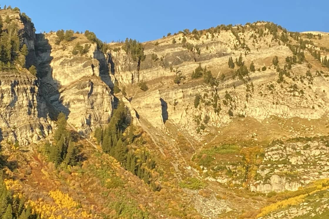 Gray limestone cliffs and ledges above American Fork Canyon in fall, scrub oak and maple turning gold below the walls