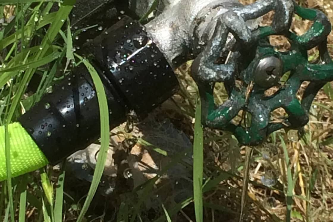 A green-handled outdoor water valve with a hose attached drips water into a patch of grass.