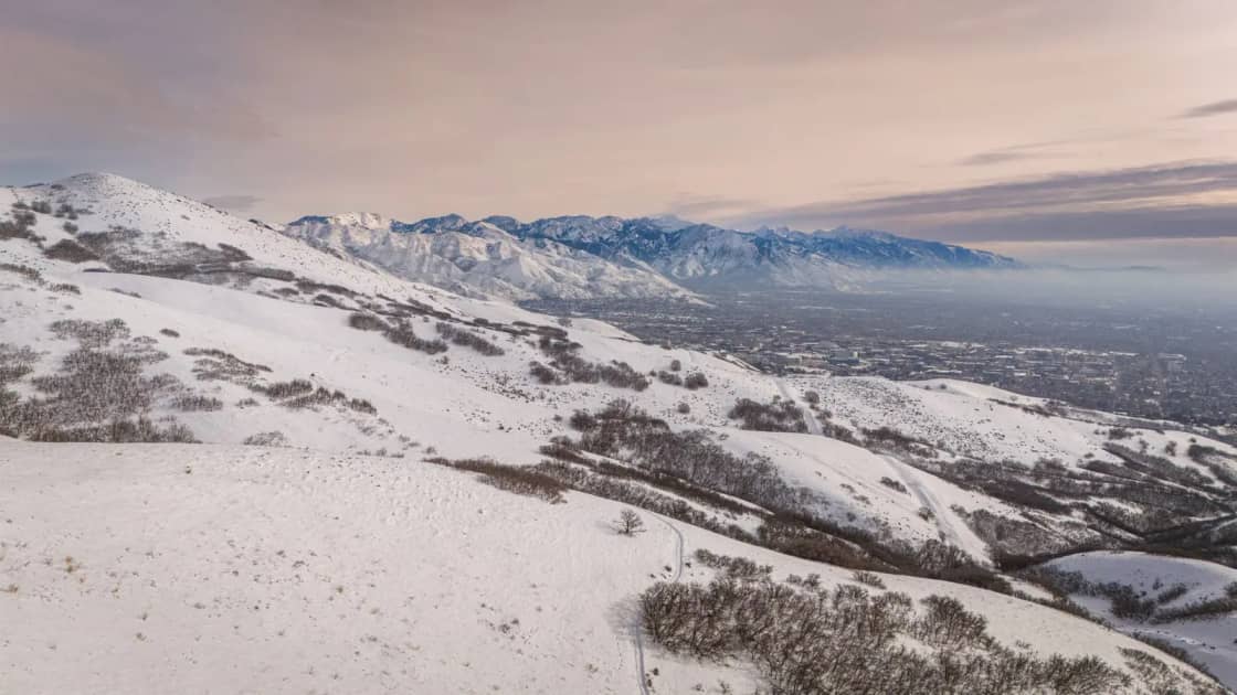A snow-covered mountain slope under flat winter light