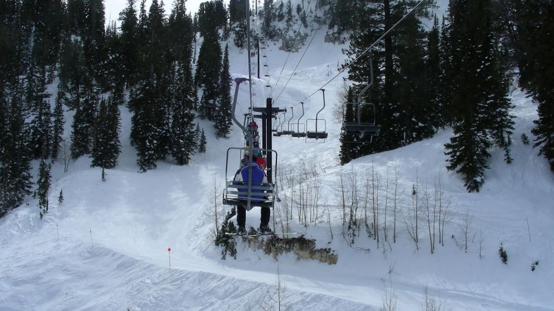 Skiers seen from behind riding the Summit chairlift at Solitude up a groomed run between snow-covered evergreens, with more chairs strung up the slope ahead