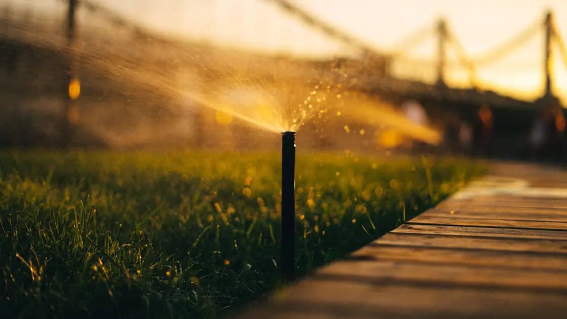 An in-ground pop-up sprinkler head spraying across a lawn at golden hour beside a wooden walkway