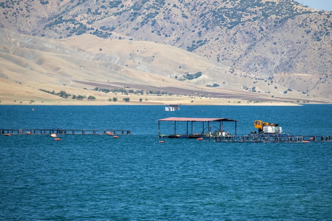 A wide blue reservoir below dry open hills, with docks along the near shore