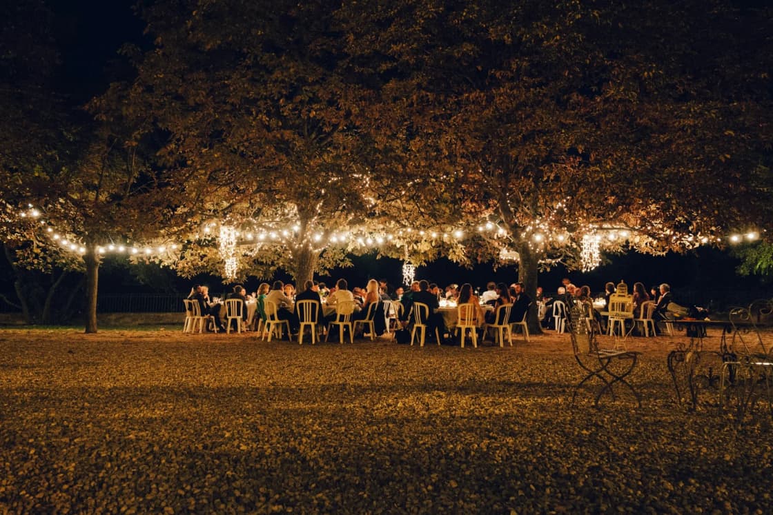 Guests at long tables under a canopy of trees strung with glowing lights at an outdoor evening reception after dark.