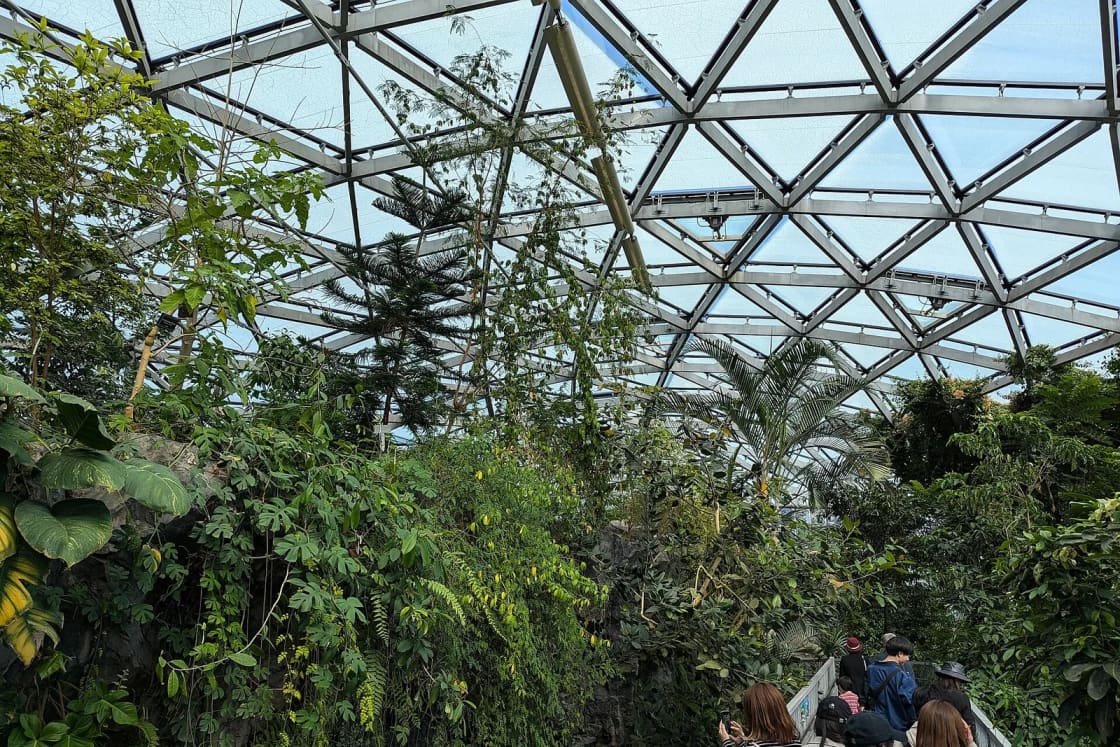 Tall tropical plants and palms fill a glass-roofed greenhouse, with a few visitors on a walkway below.