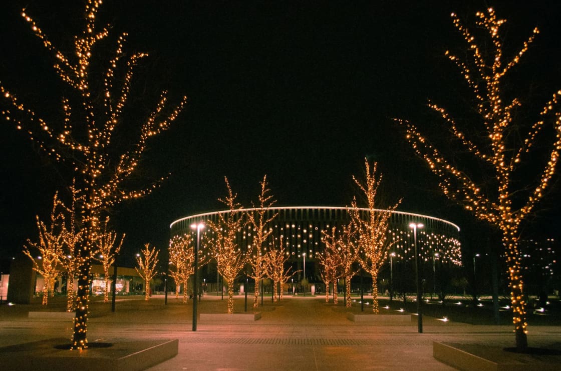 Bare trees wrapped in warm white string lights stand in a paved plaza at night beside a lit arch of hanging lights