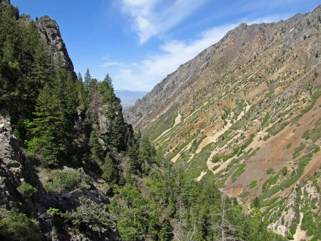 American Fork Canyon seen from the entrance to Timpanogos Cave, the road threading the canyon floor below