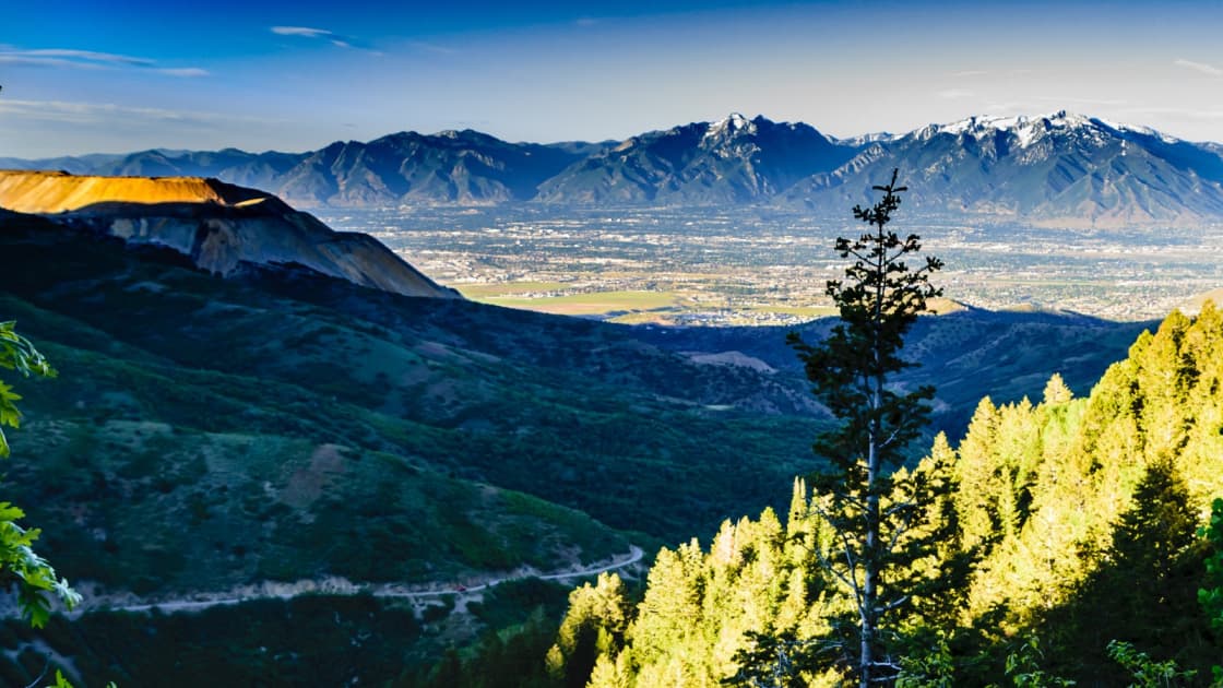 A lone evergreen high in Butterfield Canyon, with sunlit trees on the slopes, the canyon road winding below, a bare tan ridge at left, and the Salt Lake Valley's fields and neighborhoods stretching to snow-dusted peaks across the valley