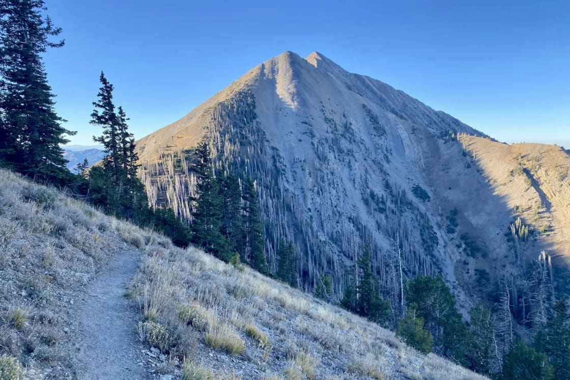 A dirt trail climbs a frosty ridge toward a steep gray summit on the way to Mount Nebo above Nephi, with spruce on the slope.
